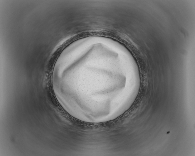 X0000113321208200910051118