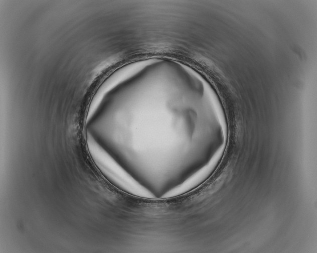 X0000113321210200910051118