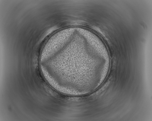 X0000113321211200910051118