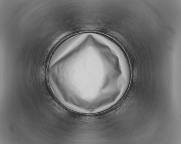 X0000113321212200910051118