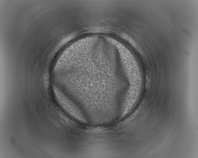 X0000113321213200910051118