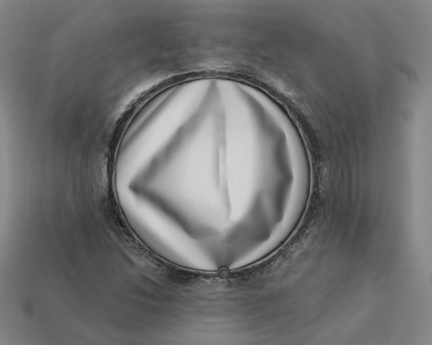 X0000113321214200910051118