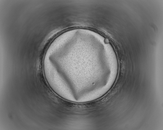 X0000113321215200910051118