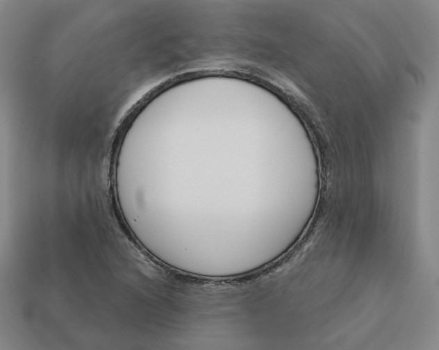 X0000113321216200910051118