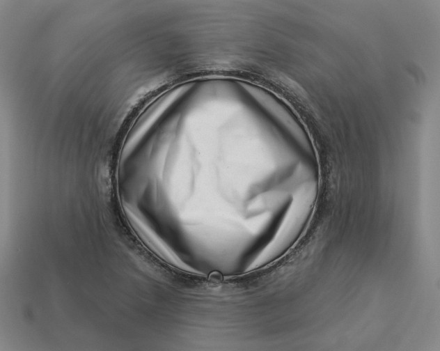 X0000113321218200910051118