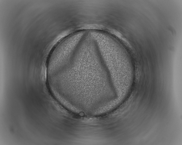 X0000113321221200910051118