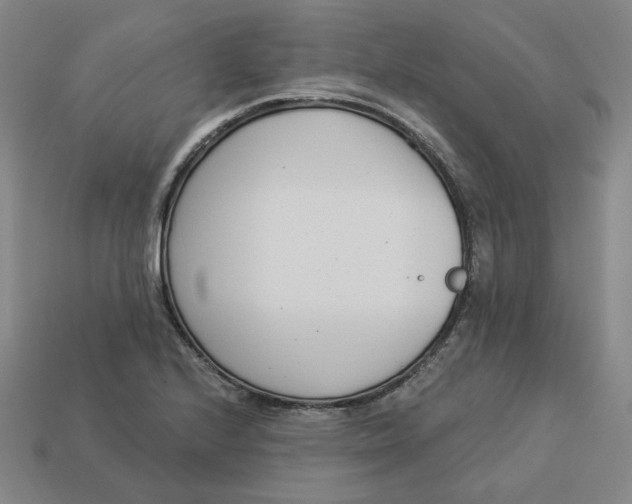 X0000113321224200910051118