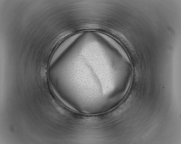 X0000113321225200910051118