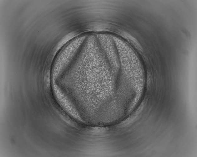 X0000113321226200910051118