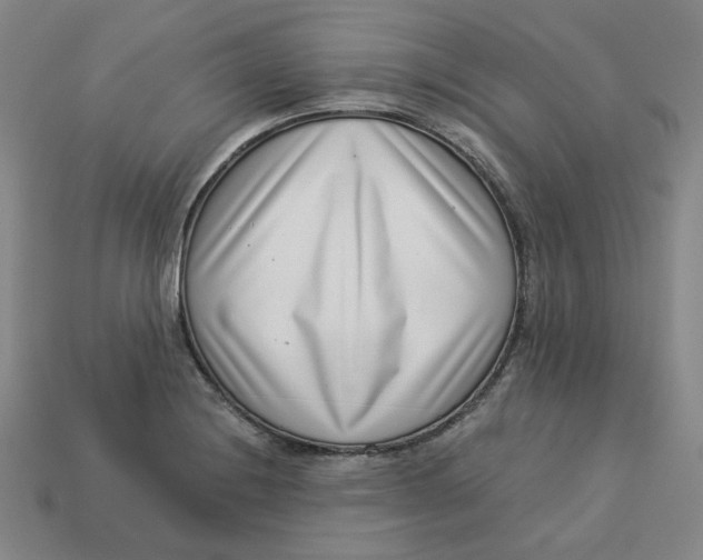 X0000113321228200910051118