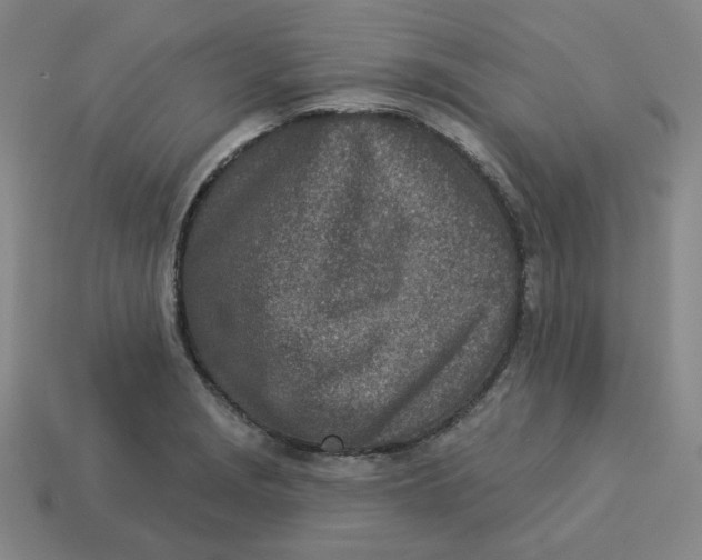 X0000113321229200910051118