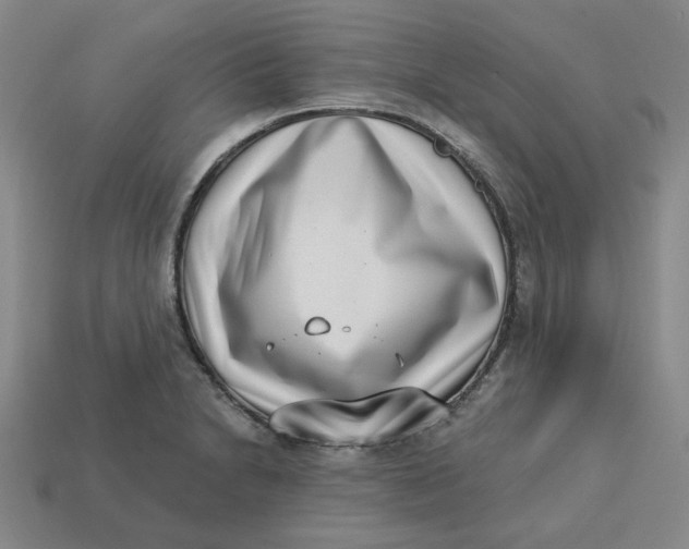 X0000113321230200910051118