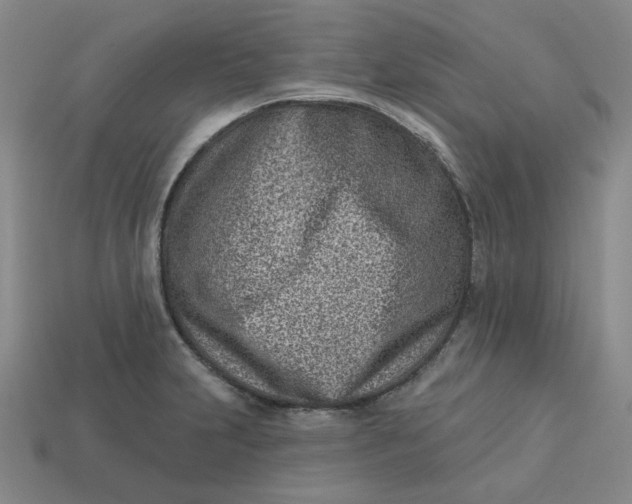 X0000113321231200910051118