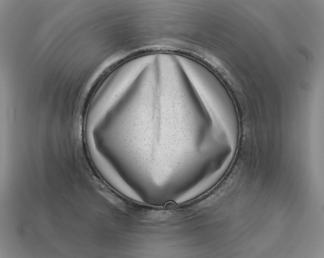 X0000113321232200910051118