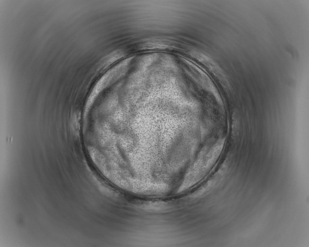 X0000113321233200910051118