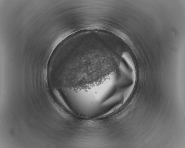 X0000113321234200910051118