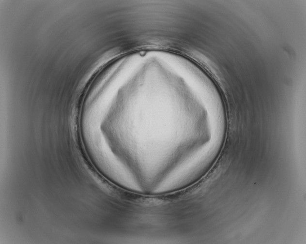 X0000113321235200910051118