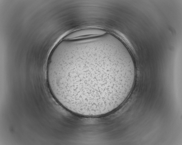 X0000113321236200910051118