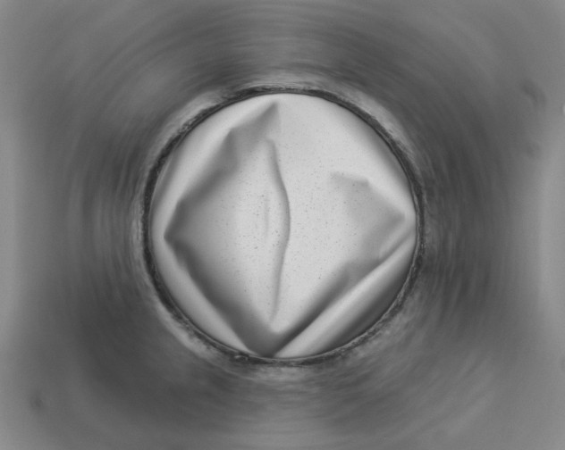 X0000113321237200910051118