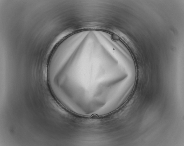 X0000113321238200910051118