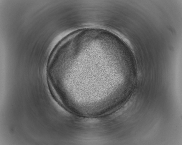 X0000113321239200910051118