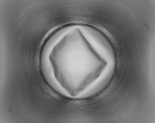 X0000113321240200910051118