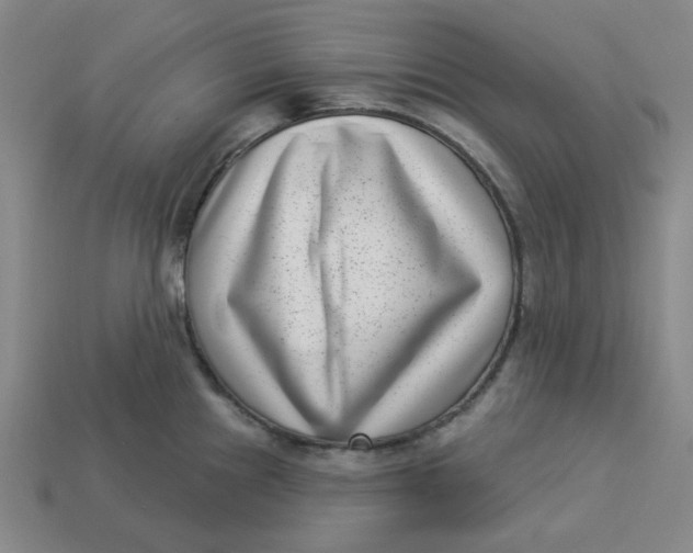 X0000113321241200910051118