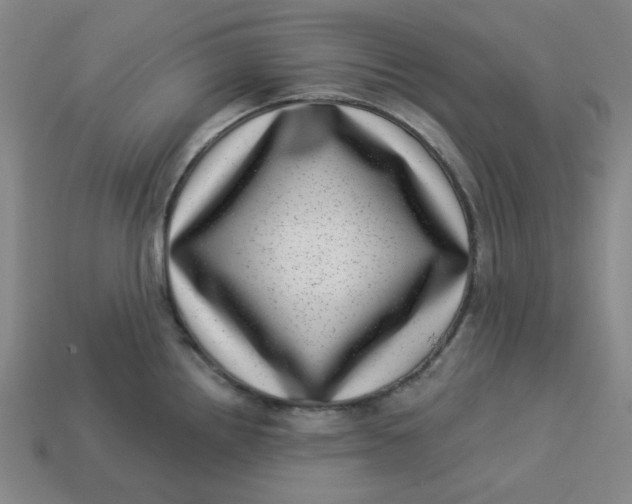 X0000113321242200910051118