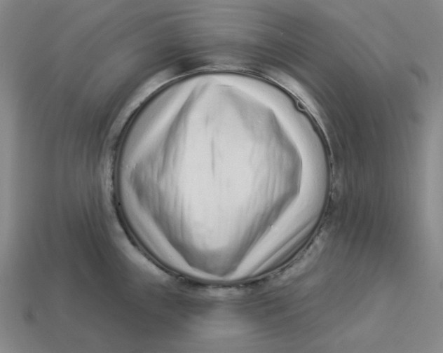 X0000113321243200910051118