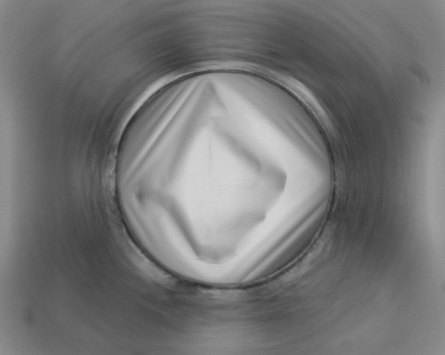 X0000113321244200910051118