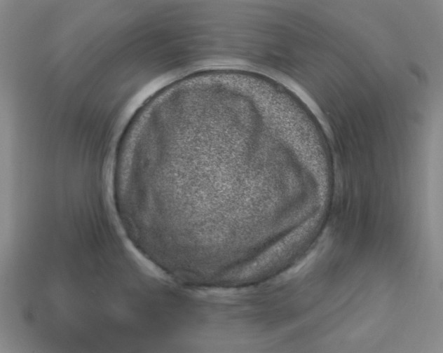 X0000113321245200910051118