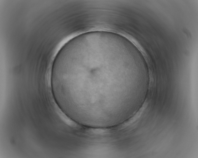 X0000113321246200910051118