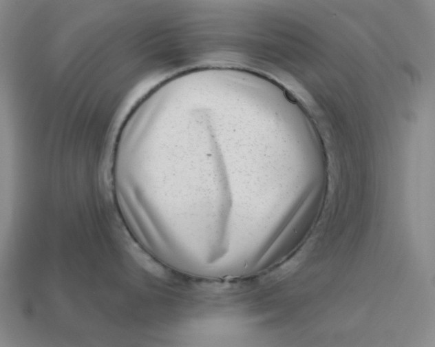 X0000113321248200910051118