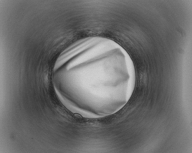 X0000113321250200910051118