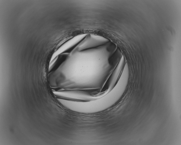 X0000113321252200910051118