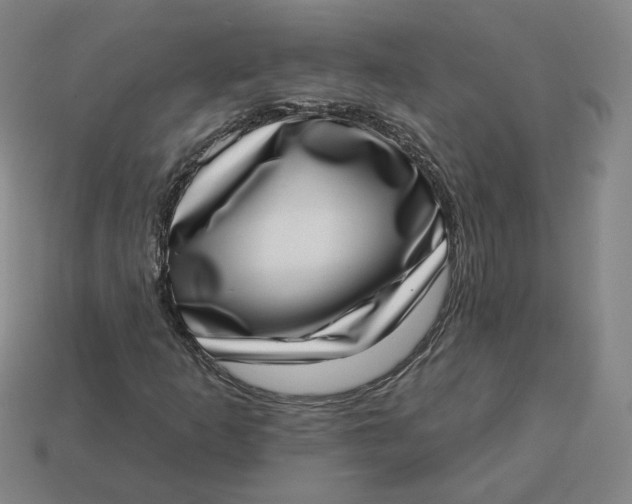 X0000113321253200910051118