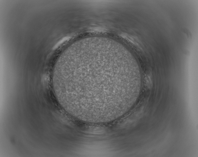 X0000113321254200910051118