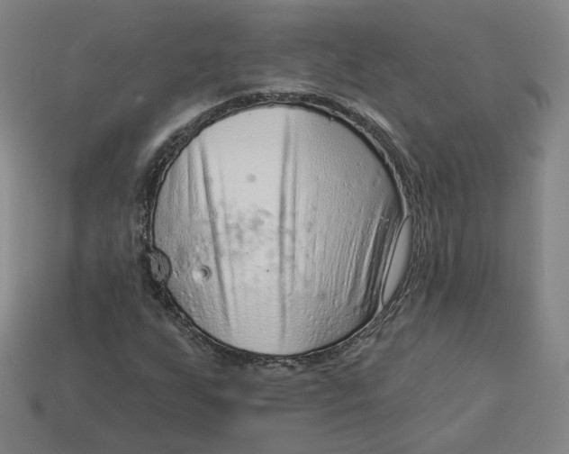 X0000113321255200910051118