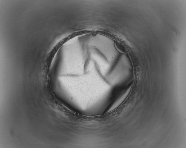 X0000113321256200910051118