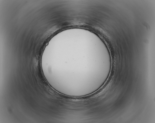 X0000113321257200910051118