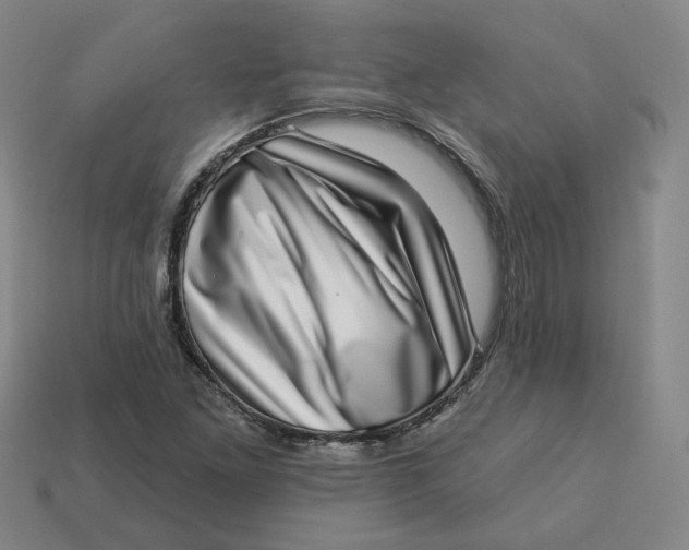 X0000113321261200910051117