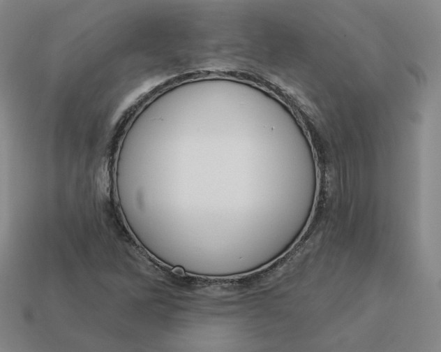 X0000113321262200910051117