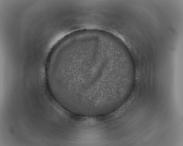 X0000113321263200910051117