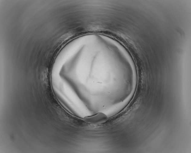 X0000113321265200910051117