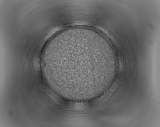 X0000113321266200910051117