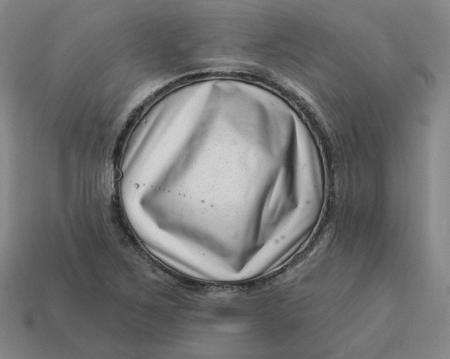 X0000113321267200910051117