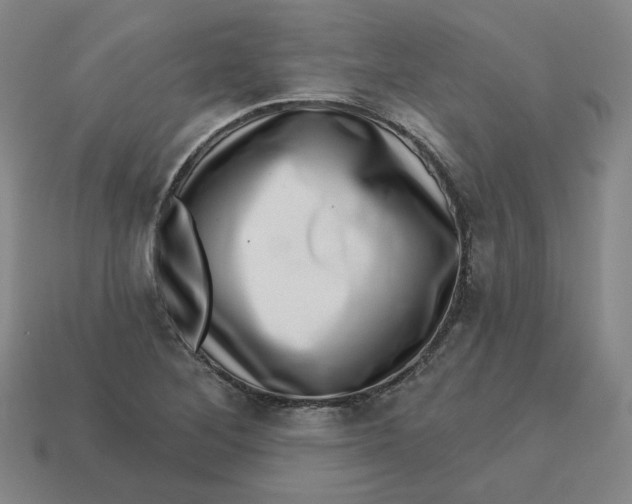 X0000113321268200910051117