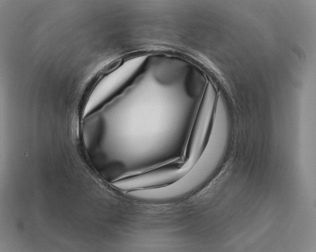 X0000113321269200910051117