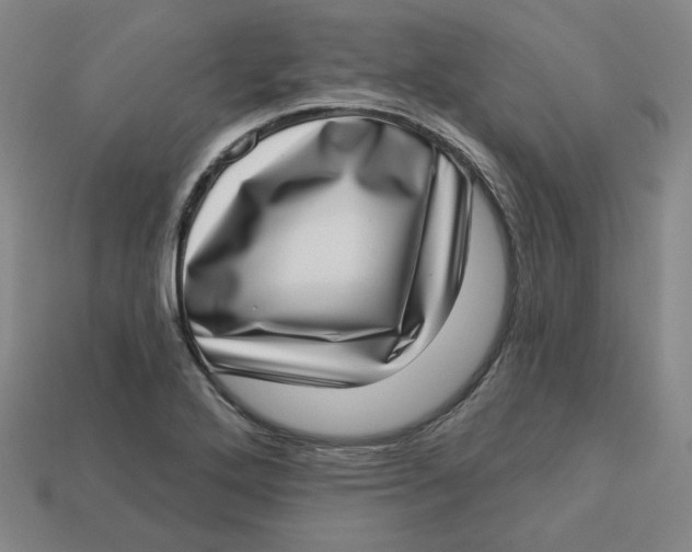 X0000113321272200910051117