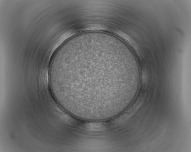 X0000113321274200910051117